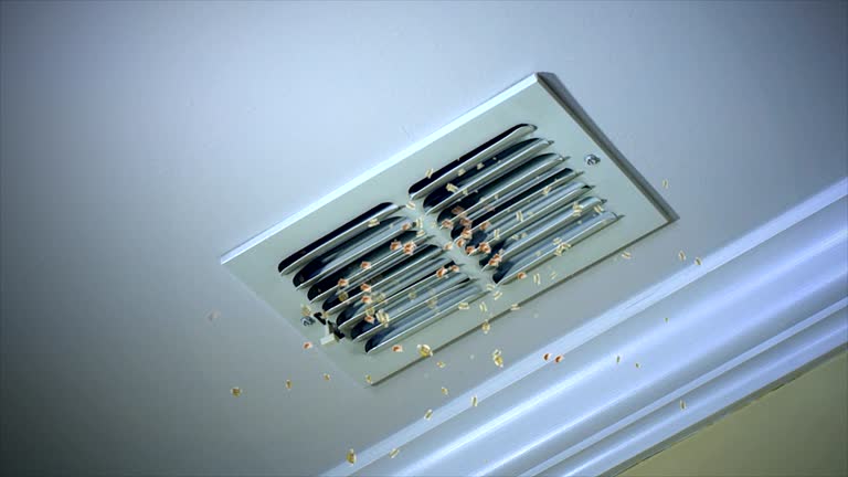 Best HVAC Air Duct Cleaning  in Homeland, CA